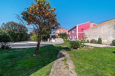 listing-picture-0