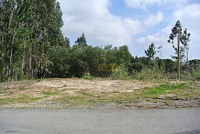 listing-picture-0