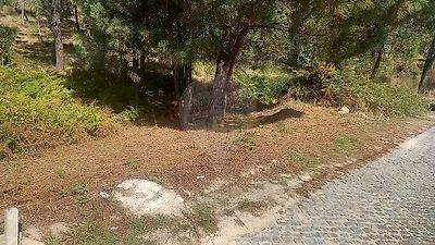 listing-picture-0