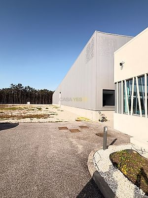 listing-picture-0
