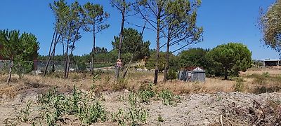 listing-picture-0