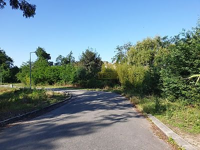 listing-picture-0