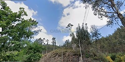 listing-picture-0