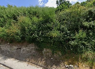 listing-picture-0