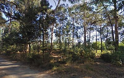 listing-picture-0