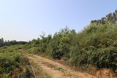 listing-picture-0