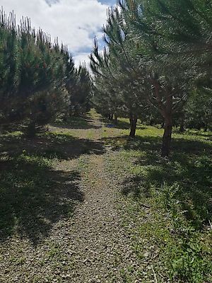 listing-picture-0