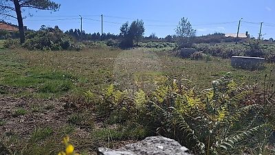 listing-picture-0