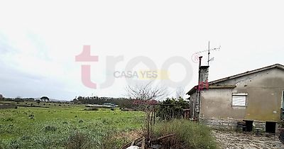 listing-picture-0