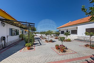listing-picture-0