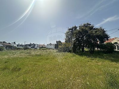 listing-picture-0
