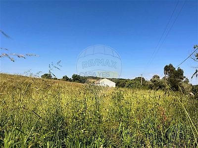 listing-picture-0