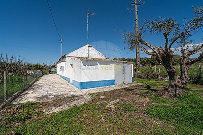 listing-picture-0