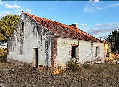 listing-picture-0