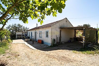 listing-picture-0