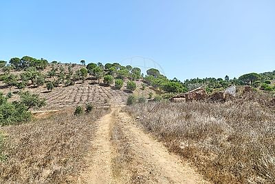 listing-picture-0