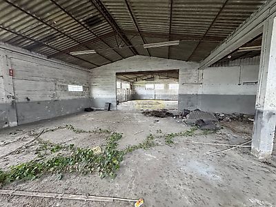 listing-picture-0