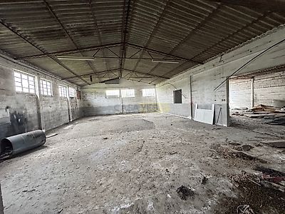 listing-picture-0