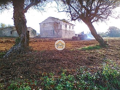 listing-picture-0