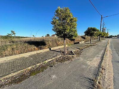 listing-picture-0