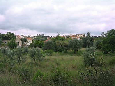 listing-picture-0