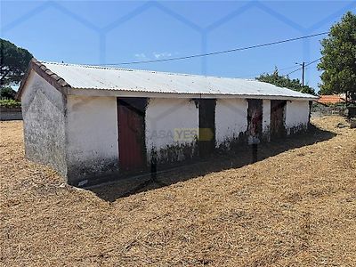 listing-picture-0