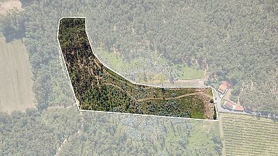 listing-picture-0