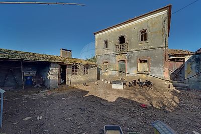 listing-picture-0