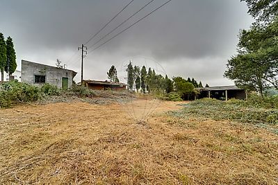 listing-picture-0