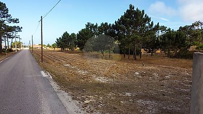listing-picture-0