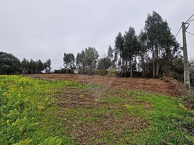 listing-picture-0