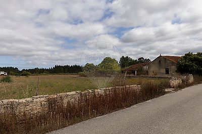 listing-picture-0