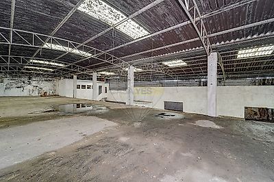listing-picture-0