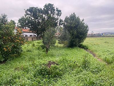 listing-picture-0