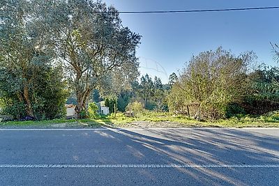 listing-picture-0