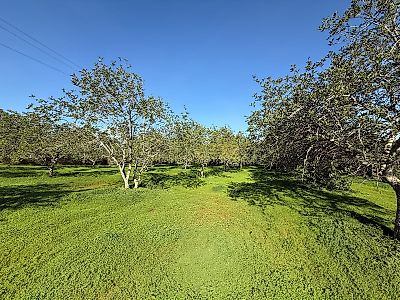 listing-picture-0