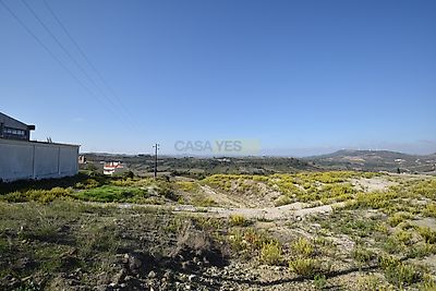 listing-picture-0