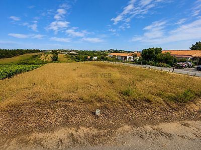 listing-picture-0