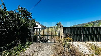 listing-picture-0