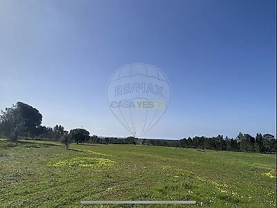 listing-picture-0