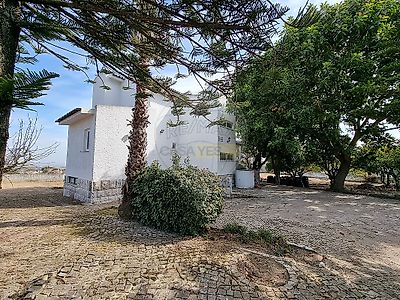 listing-picture-0