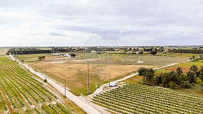 listing-picture-0