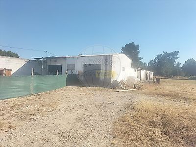 listing-picture-0