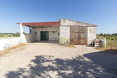 listing-picture-0