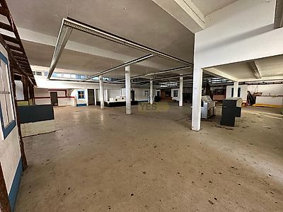 listing-picture-0