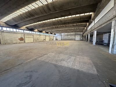 listing-picture-0