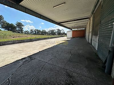 listing-picture-0