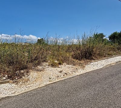 listing-picture-0