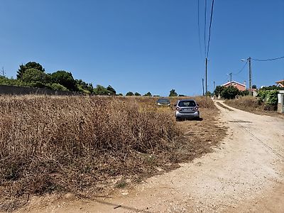 listing-picture-0