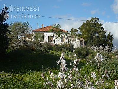 listing-picture-0